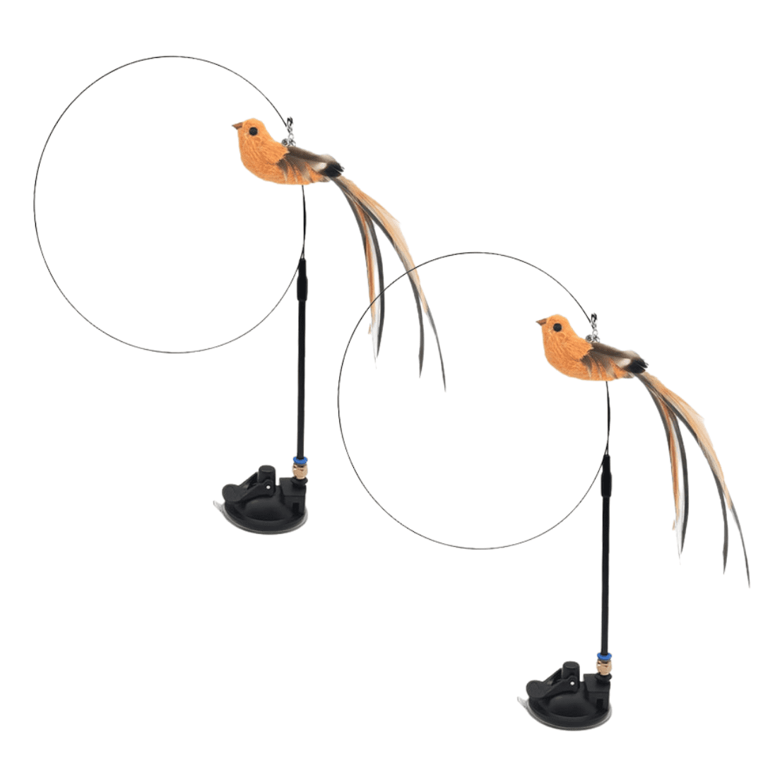 Interactive Bird Simulation Cat Toy Set Double Bundle