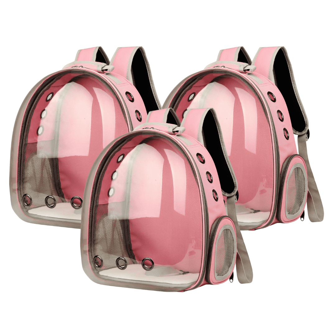 Breathable Transparent Cat Pet Carrier Backpack Triple Bundle