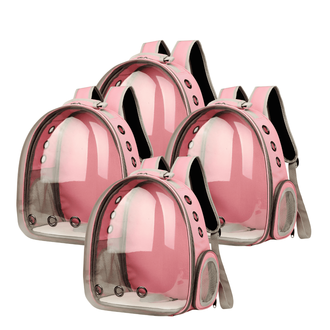 Breathable Transparent Cat Pet Carrier Backpack Family Bundle