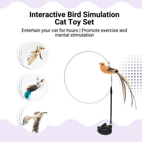 Interactive Bird Simulation Cat Toy Set